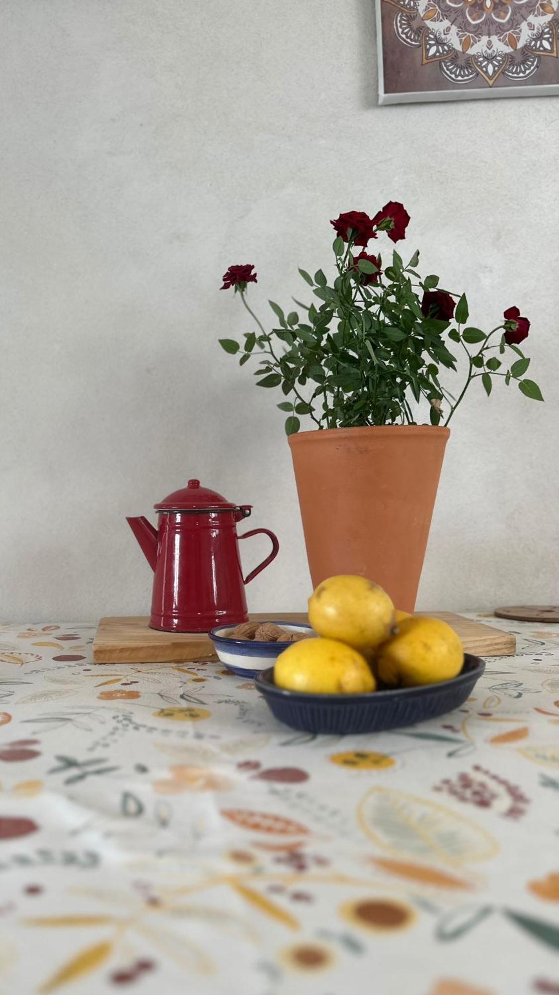 Casa Trilho The Gaios Bed & Breakfast Tabua  Exterior photo