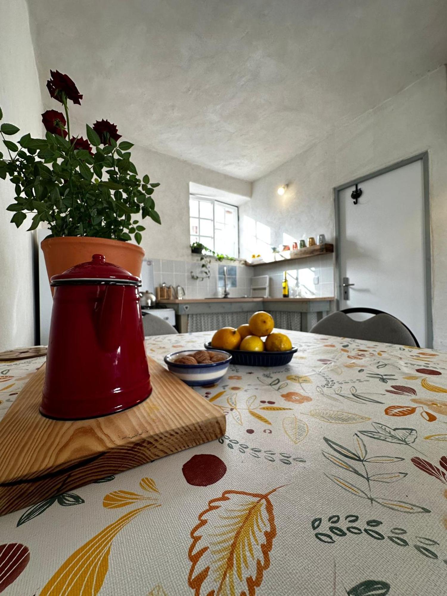 Casa Trilho The Gaios Bed & Breakfast Tabua  Exterior photo